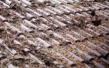 Sneinton roof cleaning companies